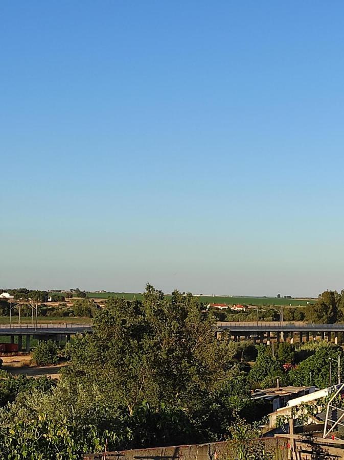 Mansao Alentejana Al Βίλα Alvalade Εξωτερικό φωτογραφία